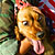 Pet Masquerade photo - Duval Street, Key West